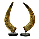 Pair of 19th Century Scottish Scrimshaw Horns