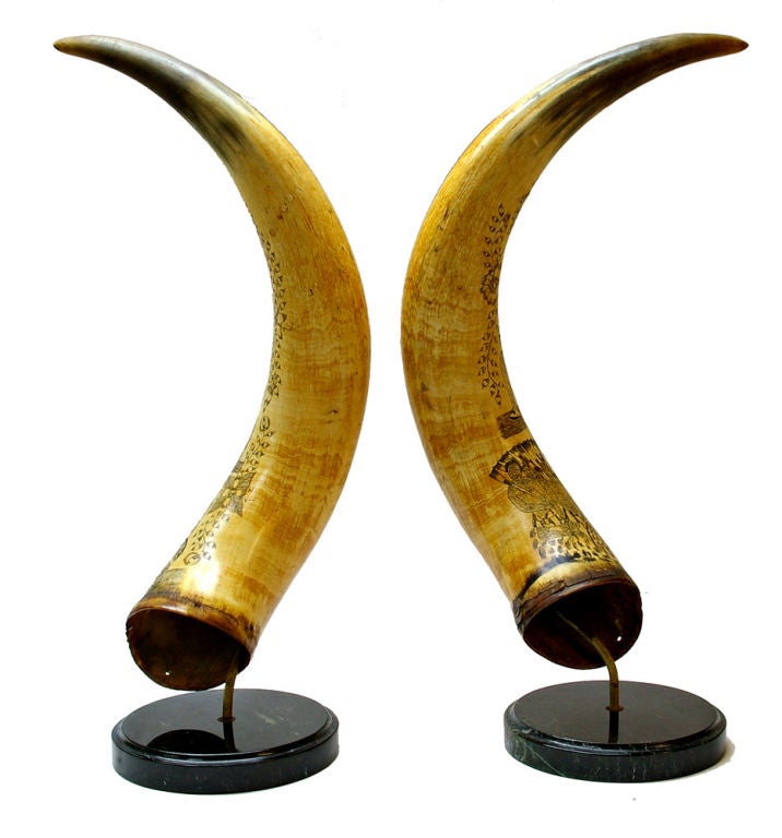 scottish horns