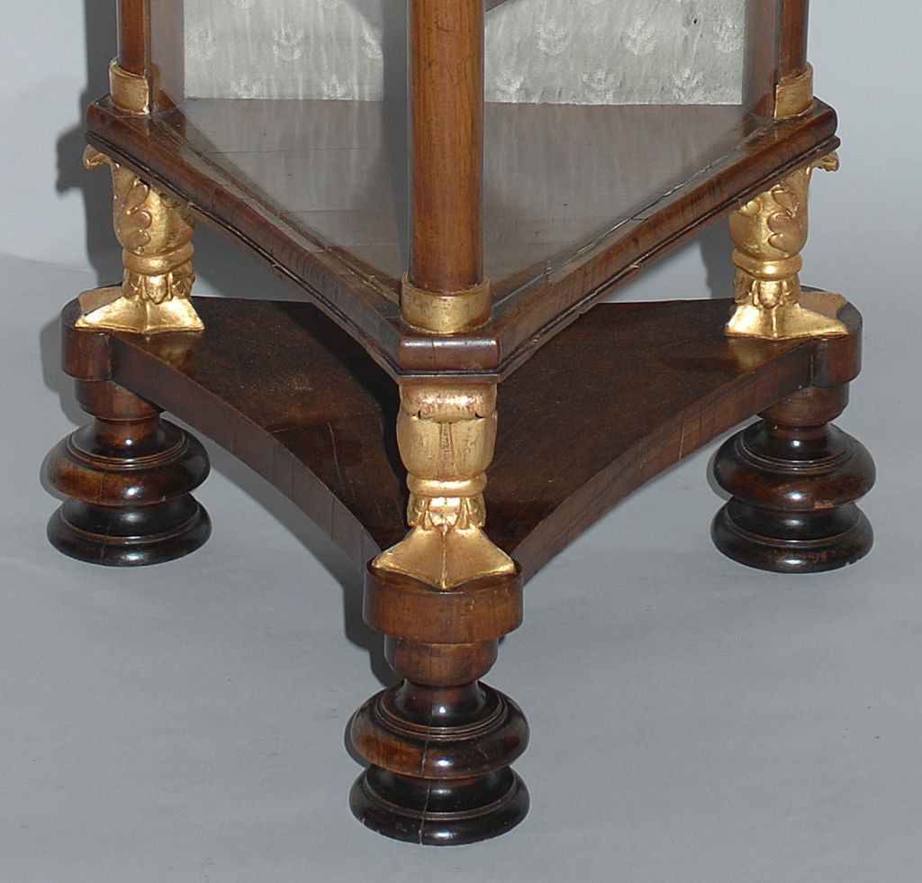 Triangulated Biedermeier Cherry and Gilt Carved Display Cabinet, c1830 1