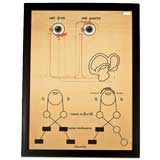 Charts: Hand-painted and drawn French eye chart