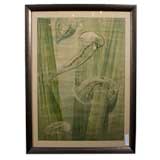 Vintage Framed Watercolor / Jellyfish II Educational chart