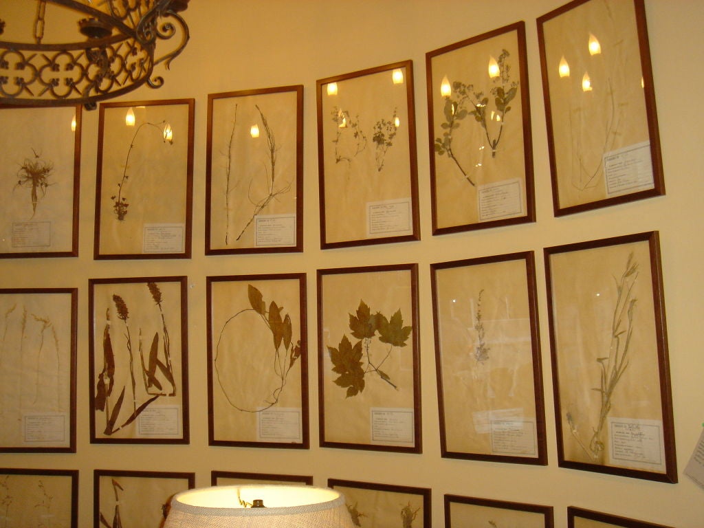 Framed French Herbiers
