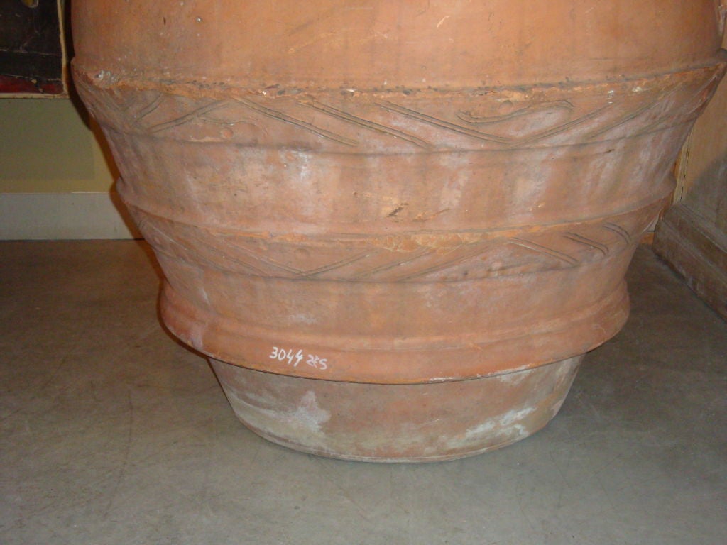 terracotta olive jar planter