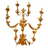 Pair of Large Italian Gilded Tole and Iron Sconces