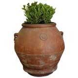 Antique Italian Terracotta Olive Oil Jar