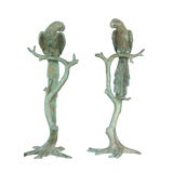 Pair of Brass Patinated Parrots signed
