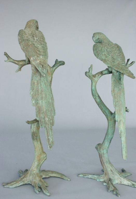 Pair of Brass Patinated Parrots signed 1