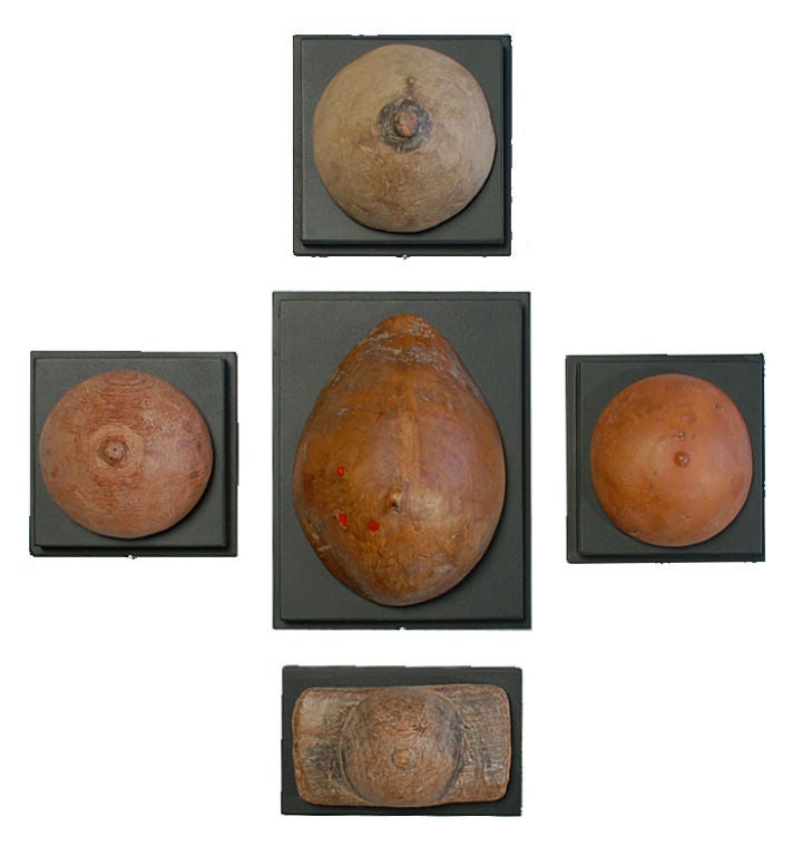 Antique Brazilian Devotional Breast Ex-voto / Milagro Collection