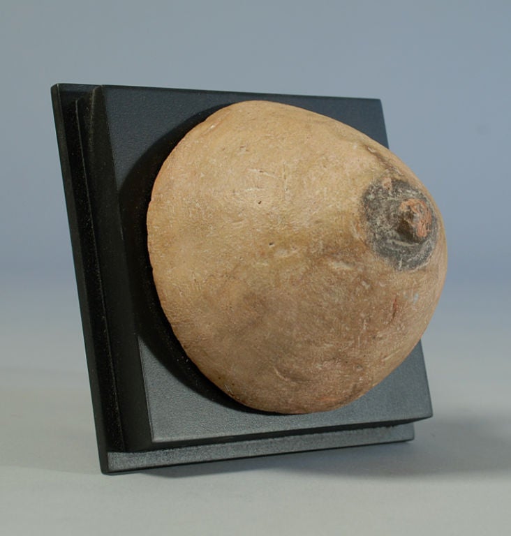 A collection of early to mid 20th century Brazilian ex-votos in the form of breasts. The donors of these ex-votos probably invoked a saint to cure a problem, or perhaps these were offered for a miracle received. Displayed on high quality custom made