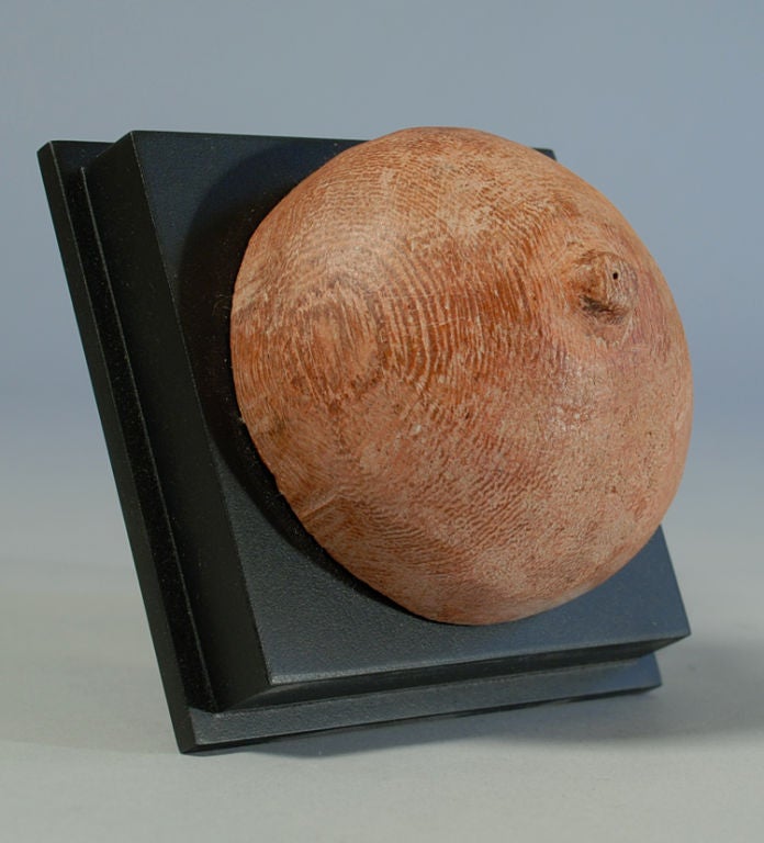 Wood Antique Brazilian Devotional Breast Ex-voto / Milagro Collection
