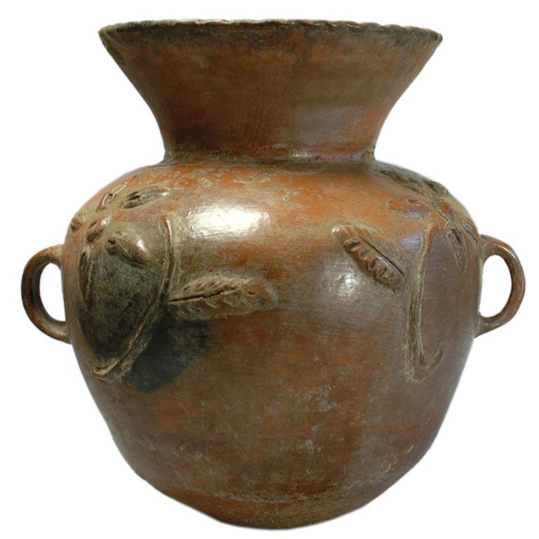 Guatemalan Florera