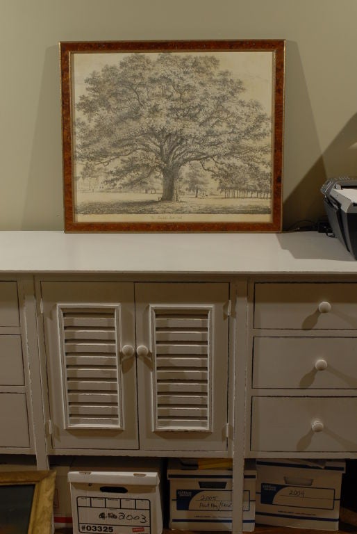 Beautiful tree engraving, a restrike from the original circa 1820s plate. Framed in Italian burl veneer. One of a set of four (two vertical and two horizontal), sold individually at $695 each.