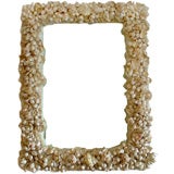 Shell Mirror