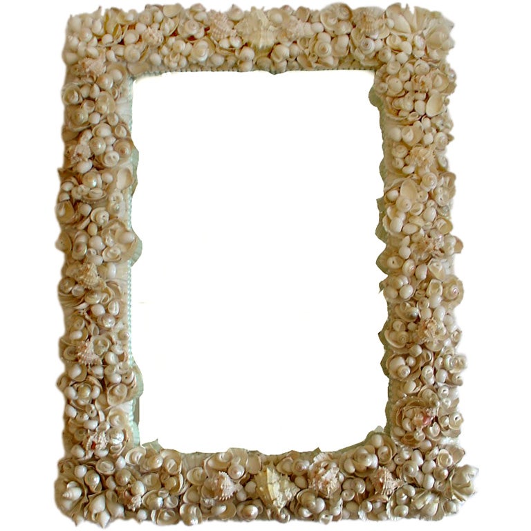Shell Mirror