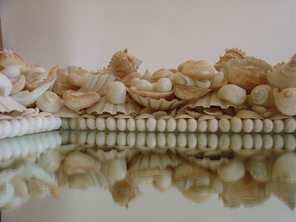 Shell Mirror 1