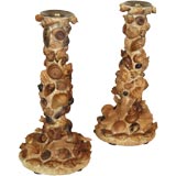 Pair of encrusted shell candlesticks