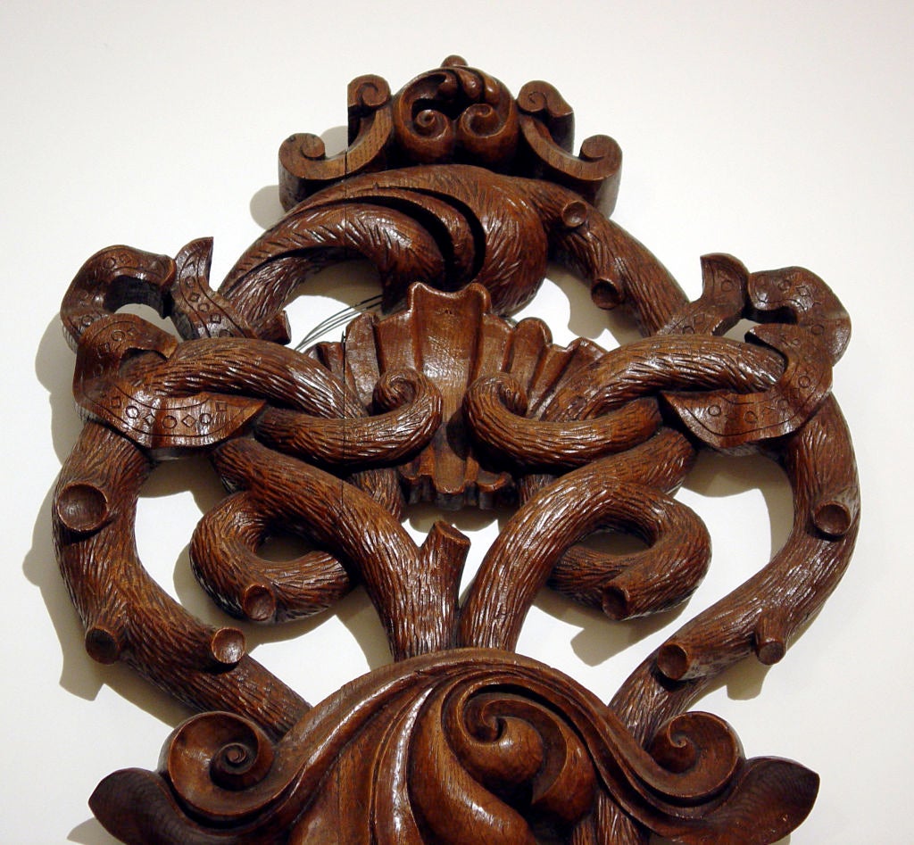 Large, Single-Antler Trophy Coat Rack