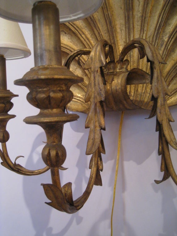 Wood Large Italian Shell Sconce