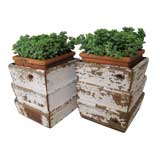 Pair of Modernist Wooden Planter Boxes