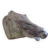 A bronze replica of the Parthenon  horse's head