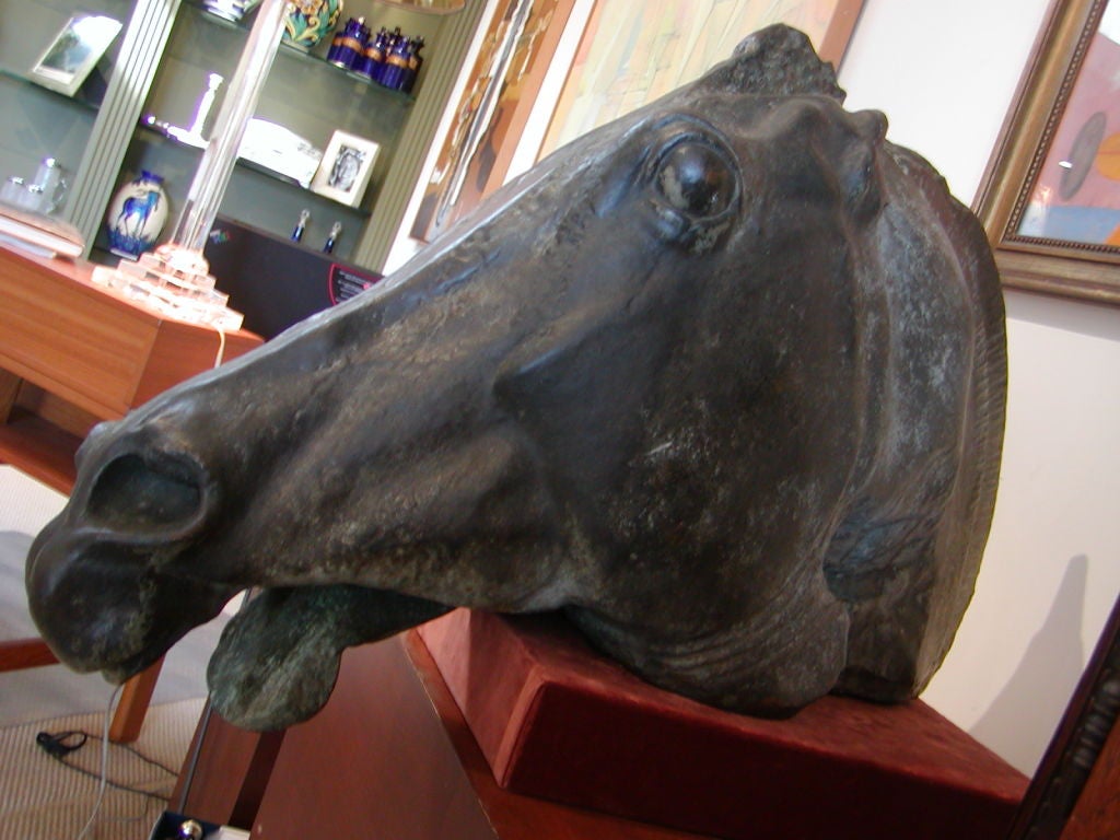 A bronze casting of the head of one of the four horses that pulled the chariot of Selene, the mythological Greek Goddess of the full moon, from one of the world's greatest ever artistic acheivements, the 2000 year old Parthenon.<br />
<br />
The