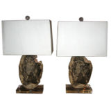 Pair of  Petrified Wood Lamps on Acrylic Bases w/ Shades