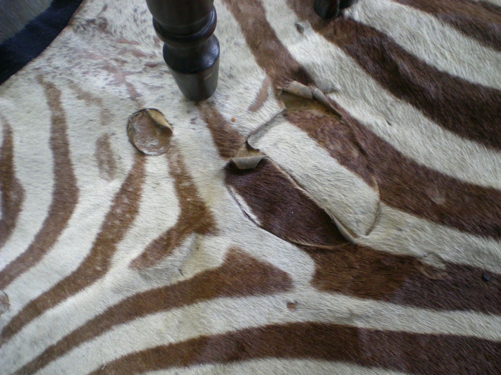 Vintage Zebra Rug 1