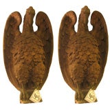 An Important Pair of French 18th c. Terra Cotta Eagle Sculptures 8