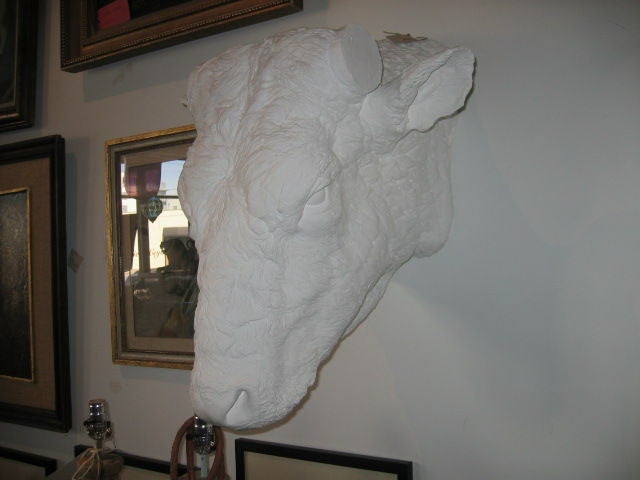 French 19th Century Beaux Arts Plaster Bull Head For Sale