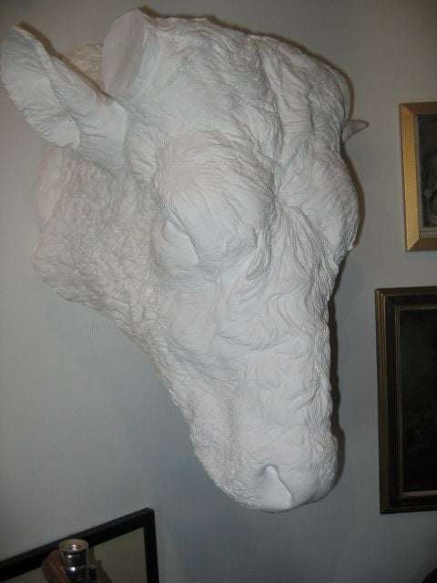 19th Century Beaux Arts Plaster Bull Head In Good Condition For Sale In Dallas, TX