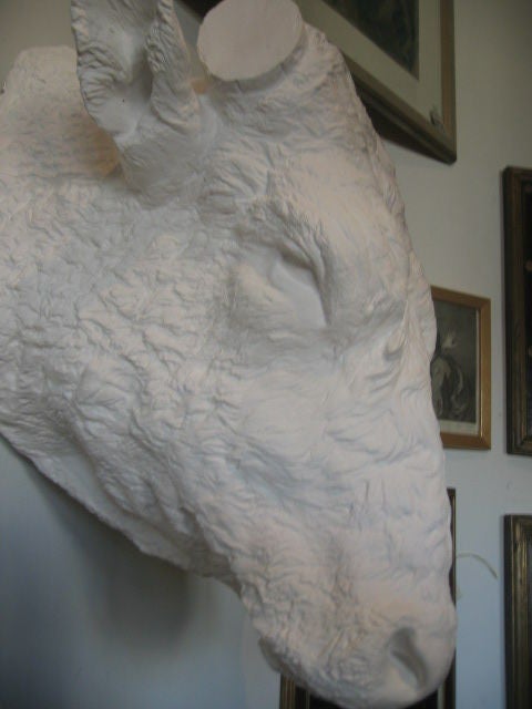 20th Century 19th Century Beaux Arts Plaster Bull Head For Sale