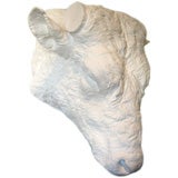 19th c. Beaux Arts Plaster Bull Head 9