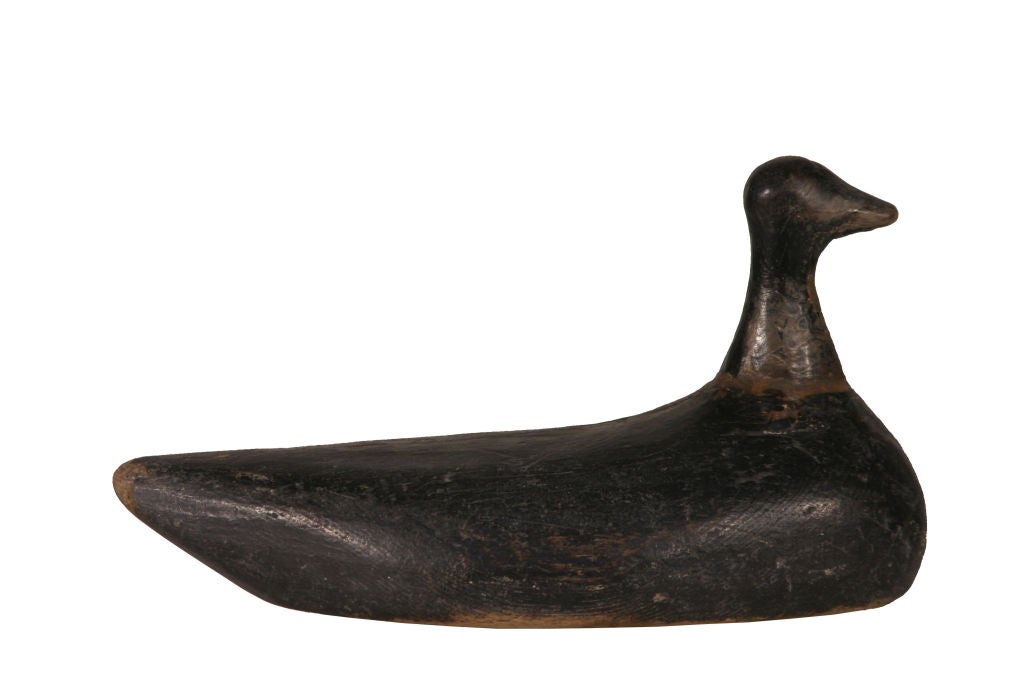 Primitive Coot Working Decoy