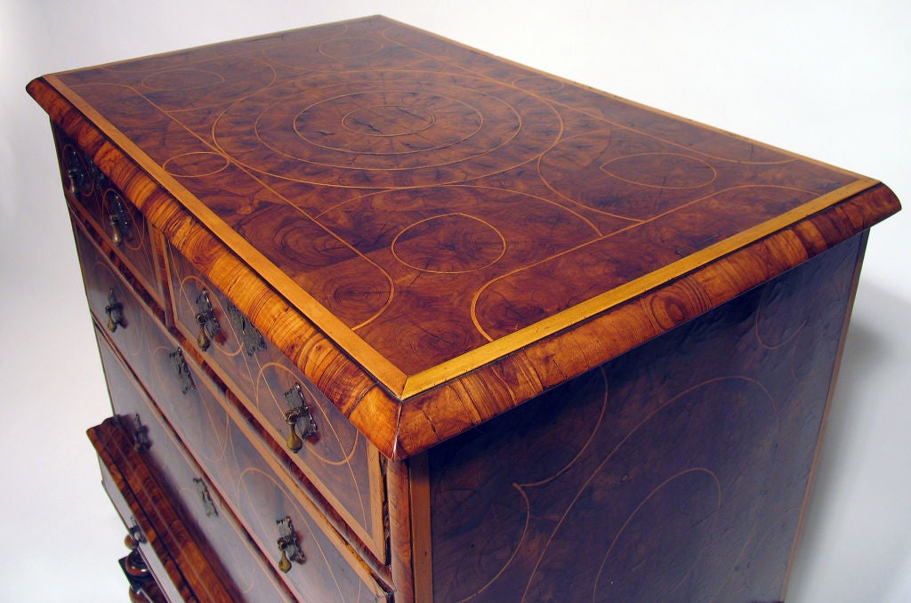English Oyster Veneer Olivewood Chest on Stand For Sale 1
