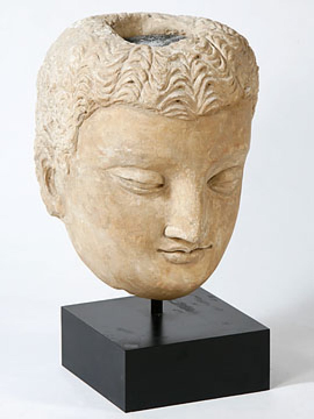 Large Stucco Head of Buddha
