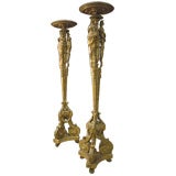 Pair of tall Italian Baroque gilt torcheres