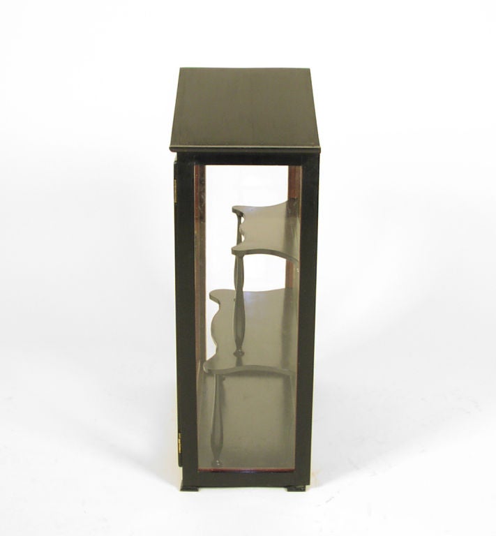 Austrian Biedermeier Small Curio/Display Cabinet For Sale