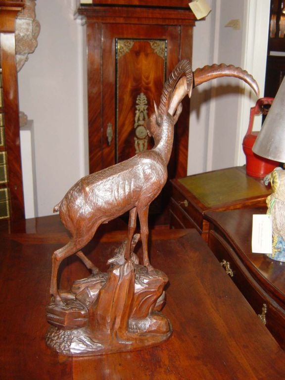 A well carved Black Forest Figure with good color and patina.  The slender legged ibex sporting a proud pair of horns. The body well finished to simulate fur. The horn tips which are attached about two inched above the head show very slight