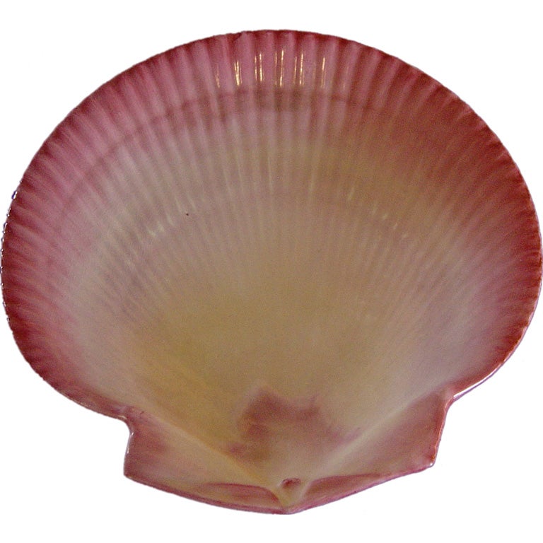 Eight Wedgwood Shell Plates