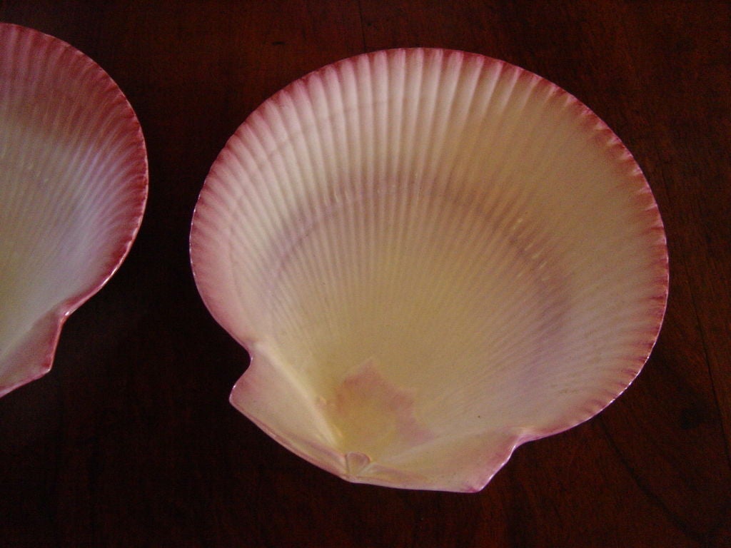 English Eight Wedgwood Shell Plates