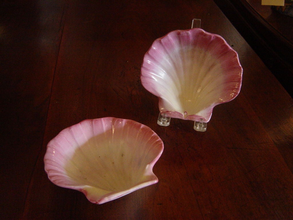 20th Century Eight Wedgwood Shell Plates