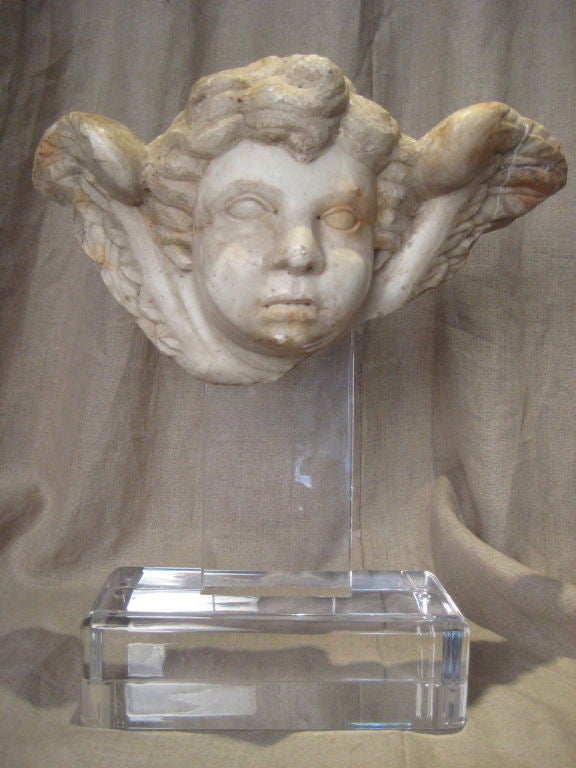Handgeschnitzter, norditalienischer, geflügelter Puttenkopf aus Marmor auf einem Sockel aus Lucite. 