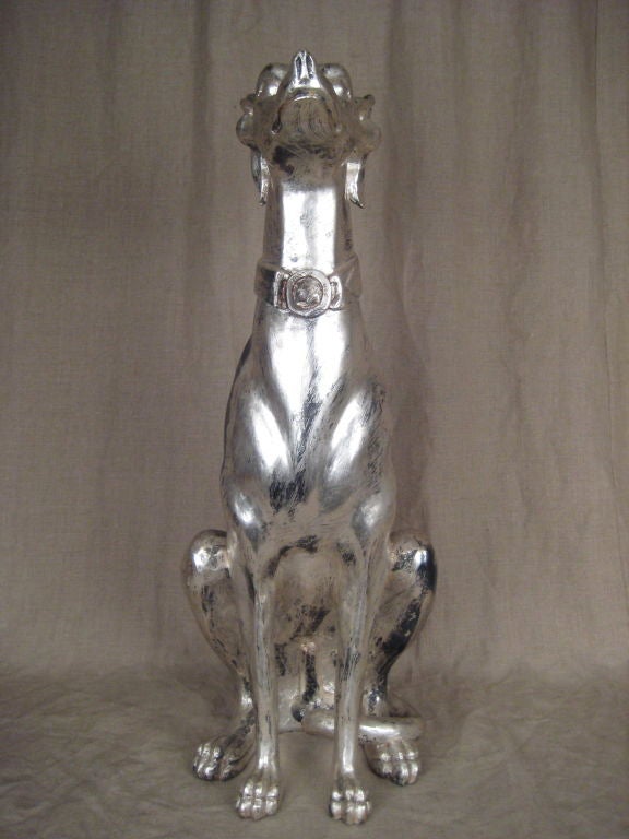 Charming, silver gilded wood greyhound, in the seated position.