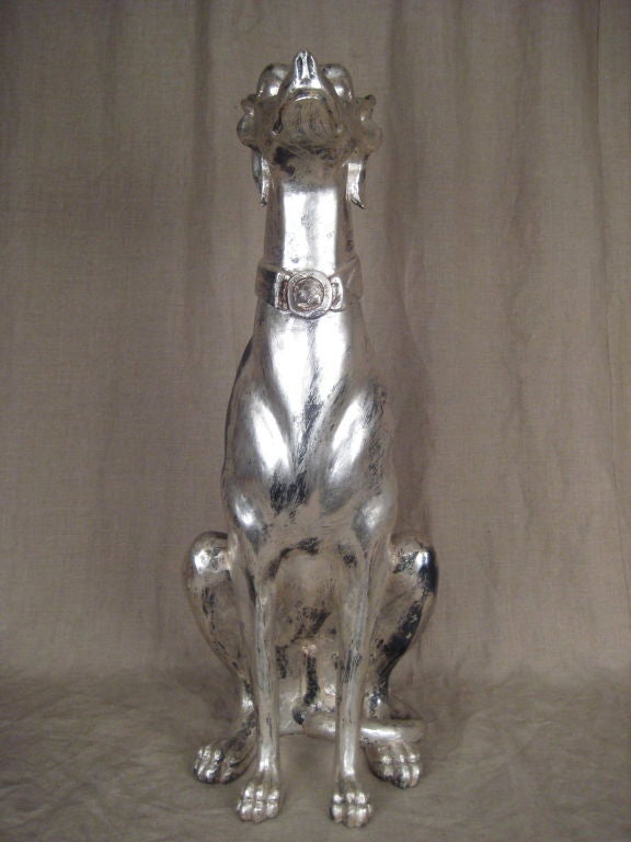 Charming, silver gilded wood greyhound, in the seated position.