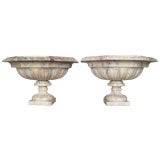 Pair of Marble Tazzas