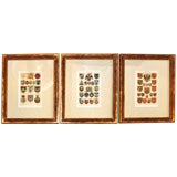 Set of Three German Chromolithograph  Armorials