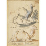 Used Two Camels by Giovanni Benedetto Castiglione