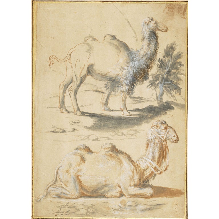 Two Camels by Giovanni Benedetto Castiglione For Sale
