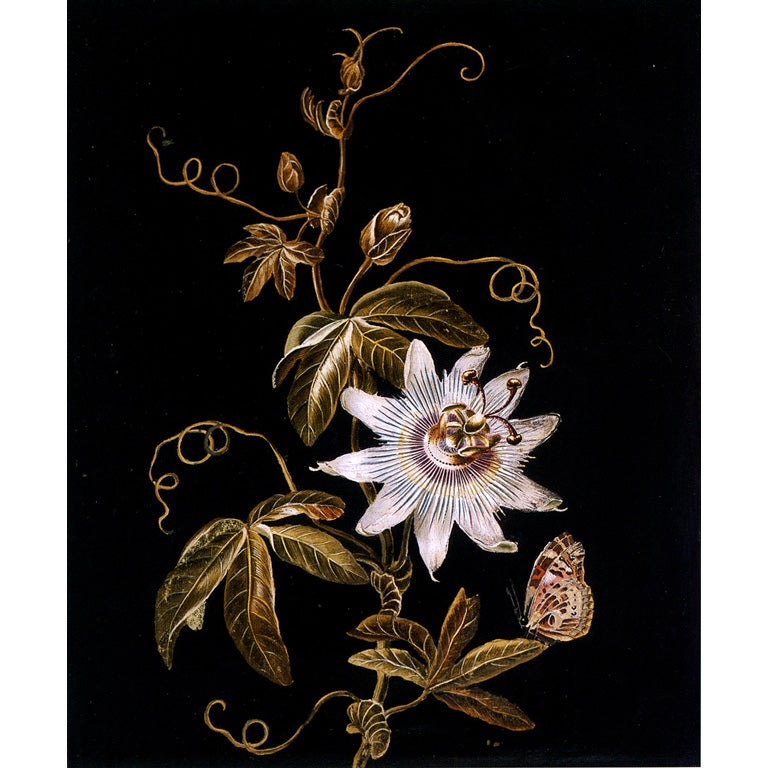 Passion Flower with a Butterfly by Adam Ludwig Wirsing For Sale