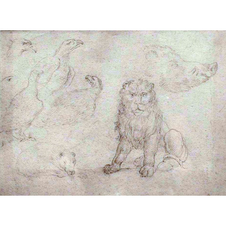 Studies Of A Lion, Boar, Dog And Eagles, Stefano Della Bella For Sale